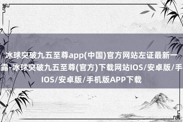 冰球突破九五至尊app(中国)官方网站左证最新一期基金季报表露-冰球突破九五至尊(官方)下载网站IOS/安卓版/手机版APP下载
