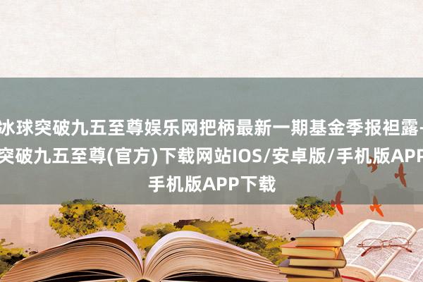 冰球突破九五至尊娱乐网把柄最新一期基金季报袒露-冰球突破九五至尊(官方)下载网站IOS/安卓版/手机版APP下载