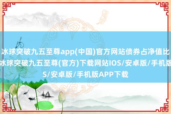 冰球突破九五至尊app(中国)官方网站债券占净值比48.06%-冰球突破九五至尊(官方)下载网站IOS/安卓版/手机版APP下载