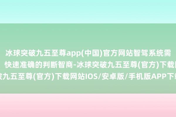 冰球突破九五至尊app(中国)官方网站智驾系统需要刚劲全面的识别智商、快速准确的判断智商-冰球突破九五至尊(官方)下载网站IOS/安卓版/手机版APP下载