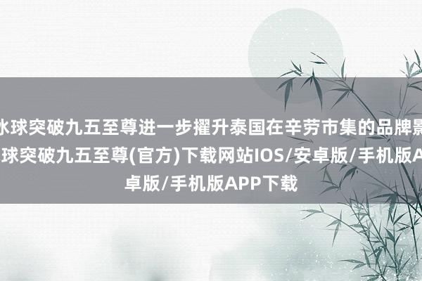 冰球突破九五至尊进一步擢升泰国在辛劳市集的品牌影响力-冰球突破九五至尊(官方)下载网站IOS/安卓版/手机版APP下载