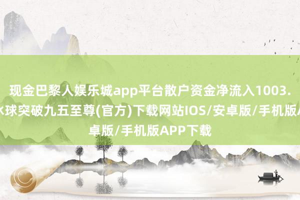 现金巴黎人娱乐城app平台散户资金净流入1003.2万元-冰球突破九五至尊(官方)下载网站IOS/安卓版/手机版APP下载
