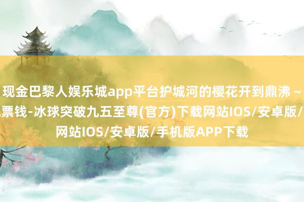 现金巴黎人娱乐城app平台护城河的樱花开到鼎沸～省了去日本的机票钱-冰球突破九五至尊(官方)下载网站IOS/安卓版/手机版APP下载