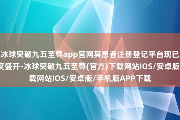 冰球突破九五至尊app官网其患者注册登记平台现已面向环球扫数国度盛开-冰球突破九五至尊(官方)下载网站IOS/安卓版/手机版APP下载