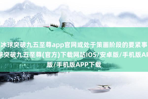 冰球突破九五至尊app官网或处于策画阶段的要紧事项-冰球突破九五至尊(官方)下载网站IOS/安卓版/手机版APP下载
